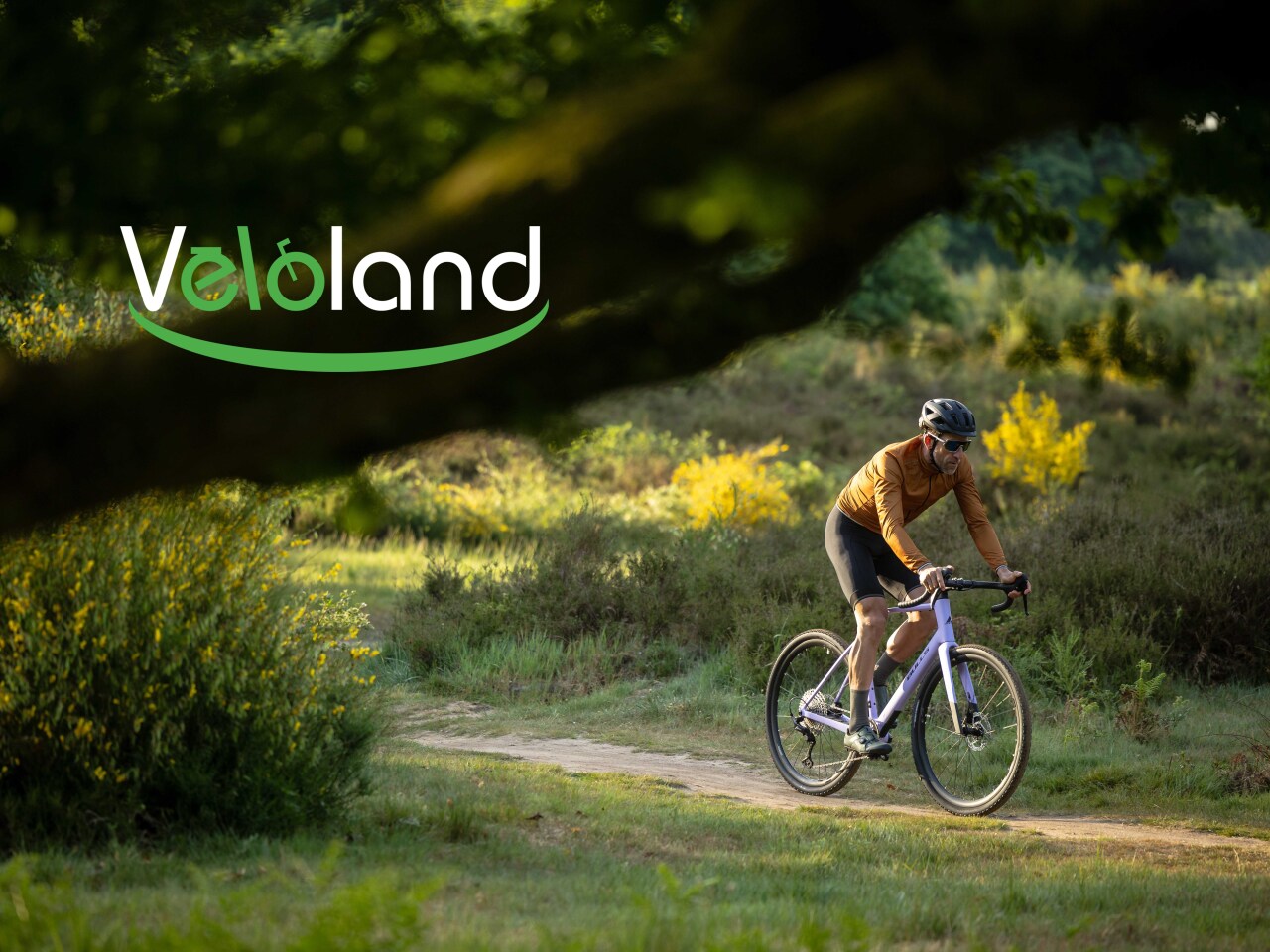  Comptoir du 2 Roues magasin de vélo à Agen 